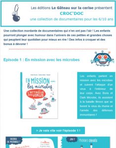 Foxie Com_emailings_realisations