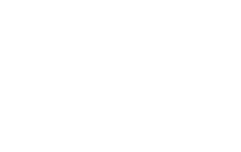 Foxie Com'