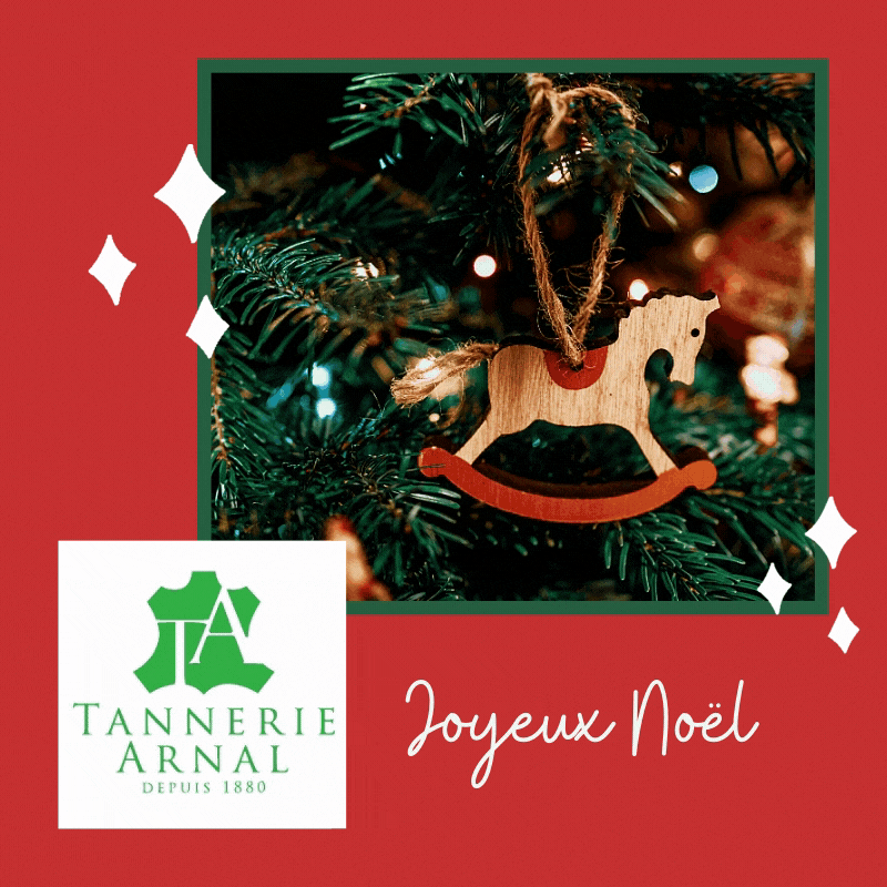 Community Management Instagram - Tannerie Arnal par Foxie Com'