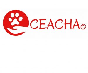 Realisation_identite visuelle_Humanimalis-logo