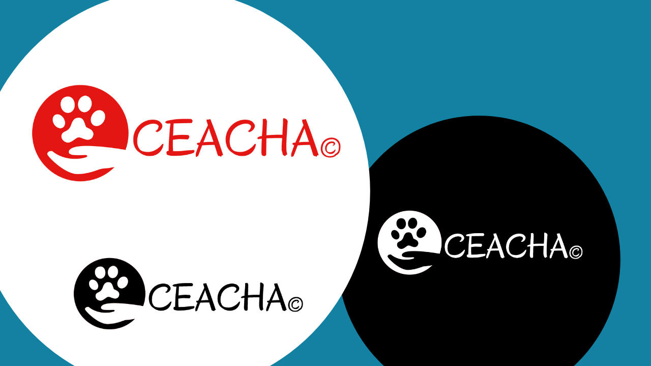 Realisation logos_Humanimalis_Foxie Com