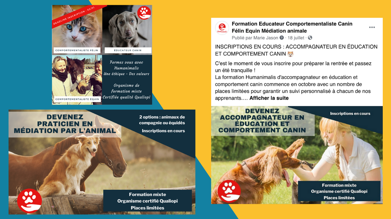 Community management pour Humanimalis_Foxie Com