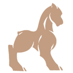 Bahamut - Avis client Foxie Com